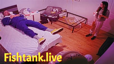 letty fishtank nudes|Fishtank.Live